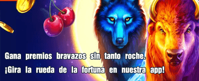 Experiencia de juego en Inkabet